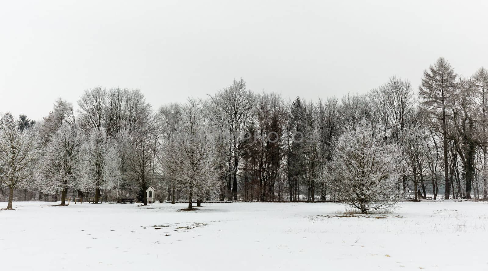 Wayside chapel winter trees by maxlindna