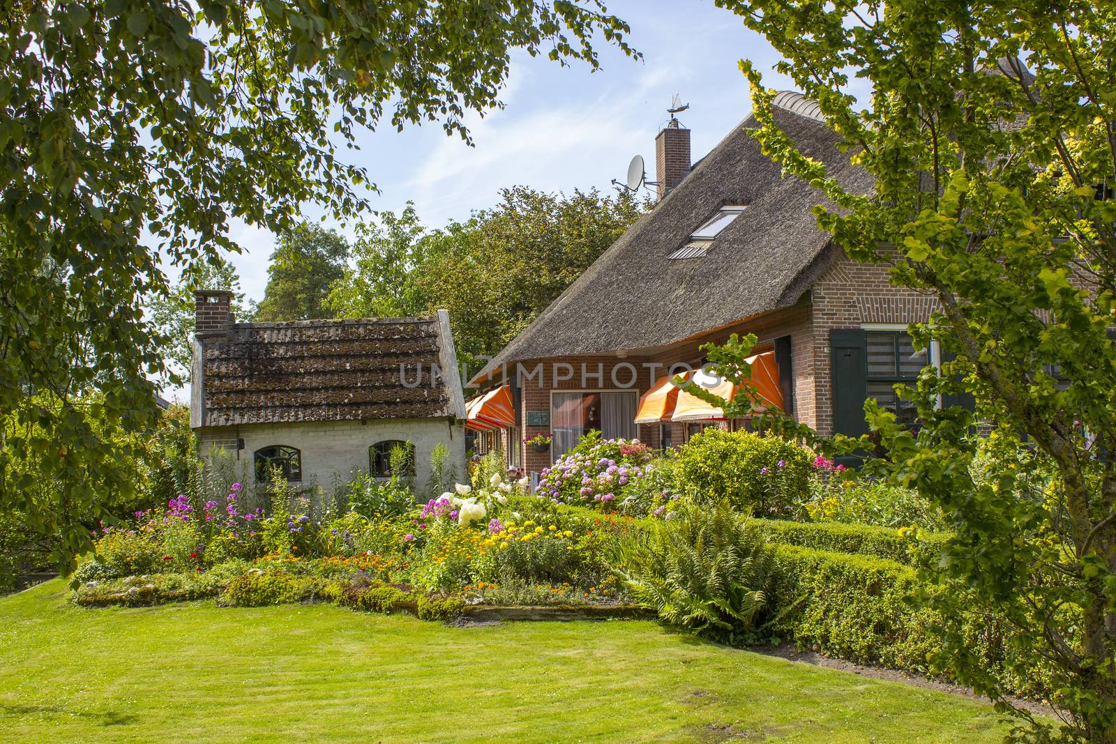 GIETHOORN, NETHERLANDS -typical dutch county side of houses and gardens