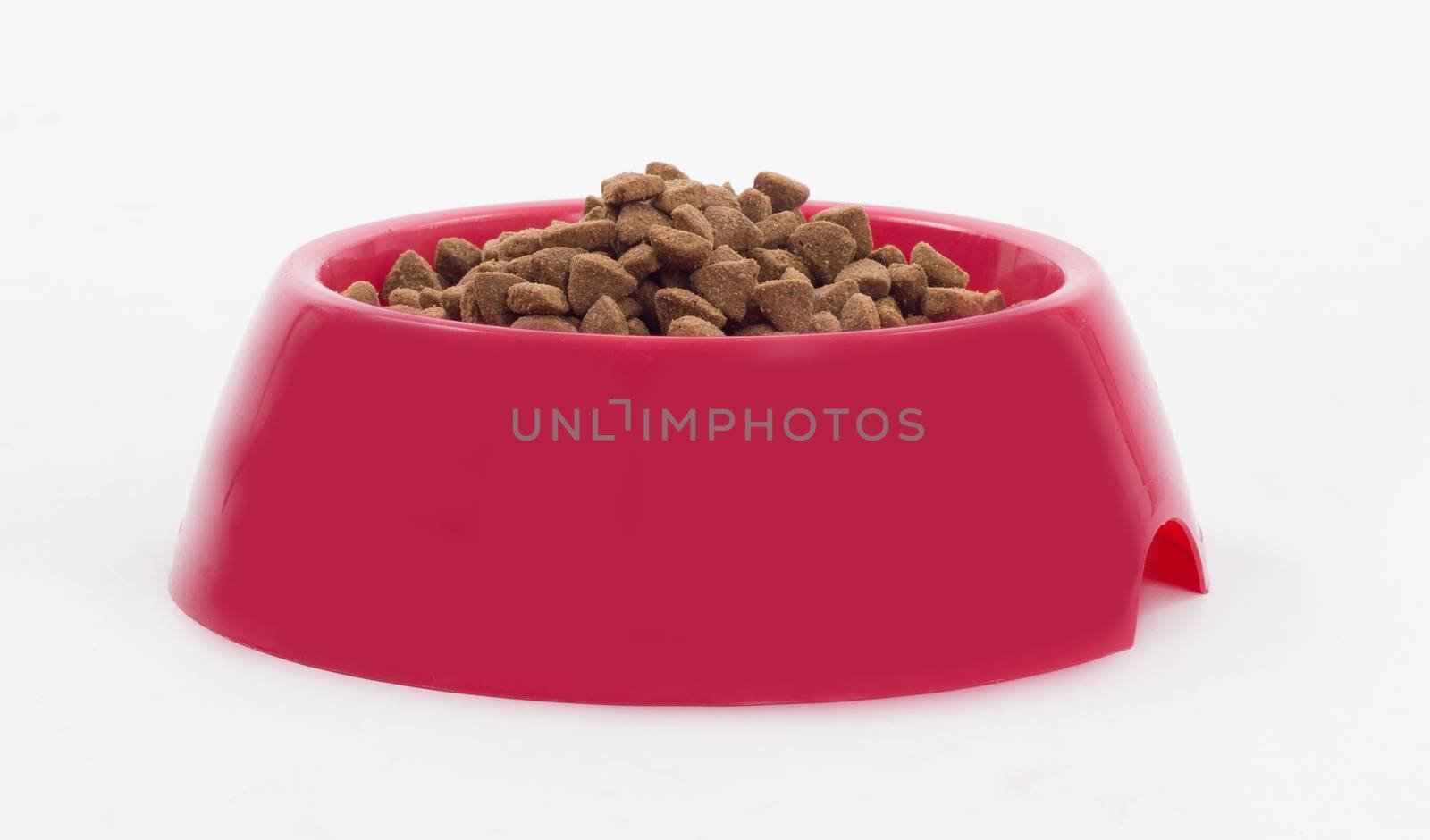 Dog food in red bowl, isolated on white studio background