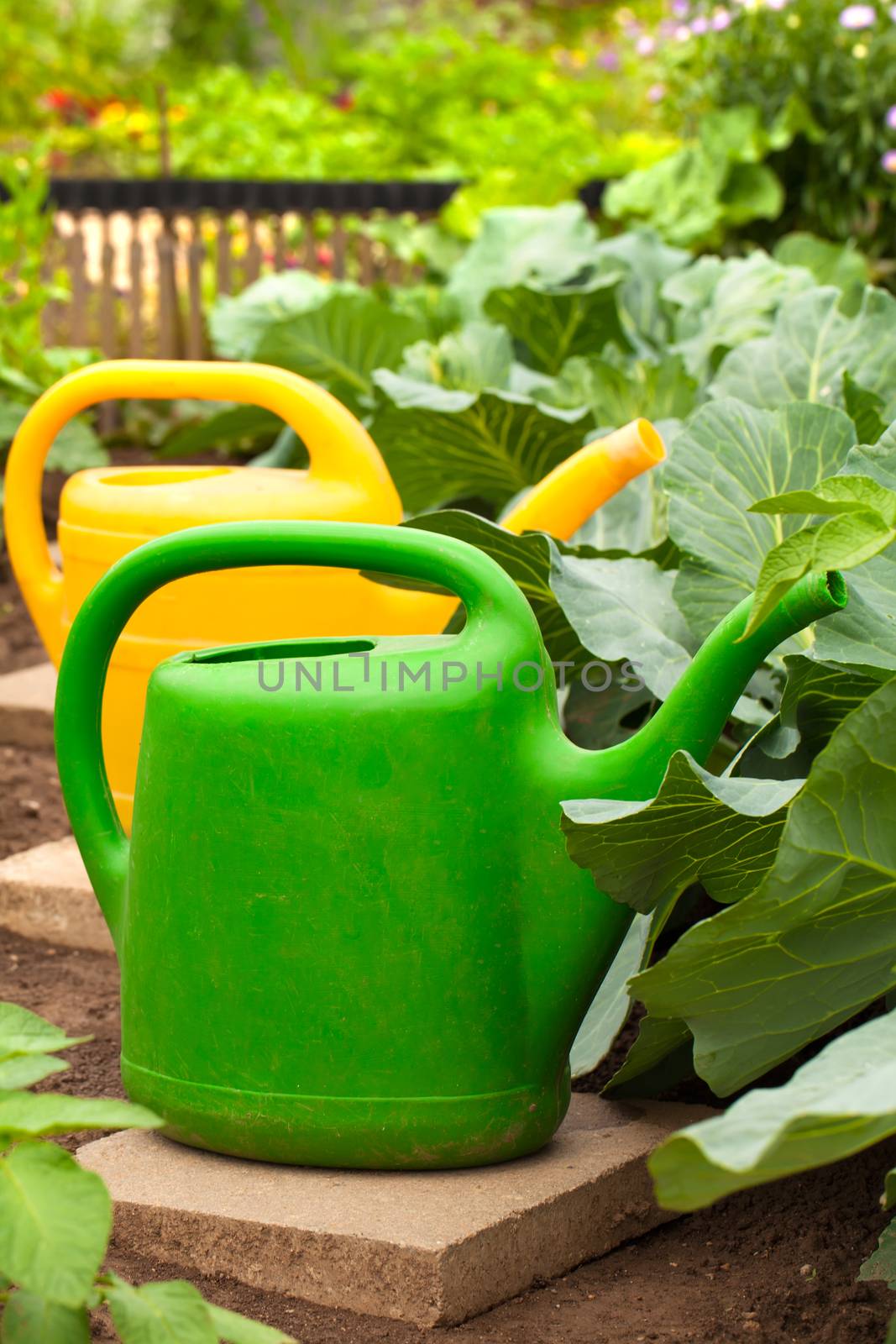 watering can for watering the garden by motorolka