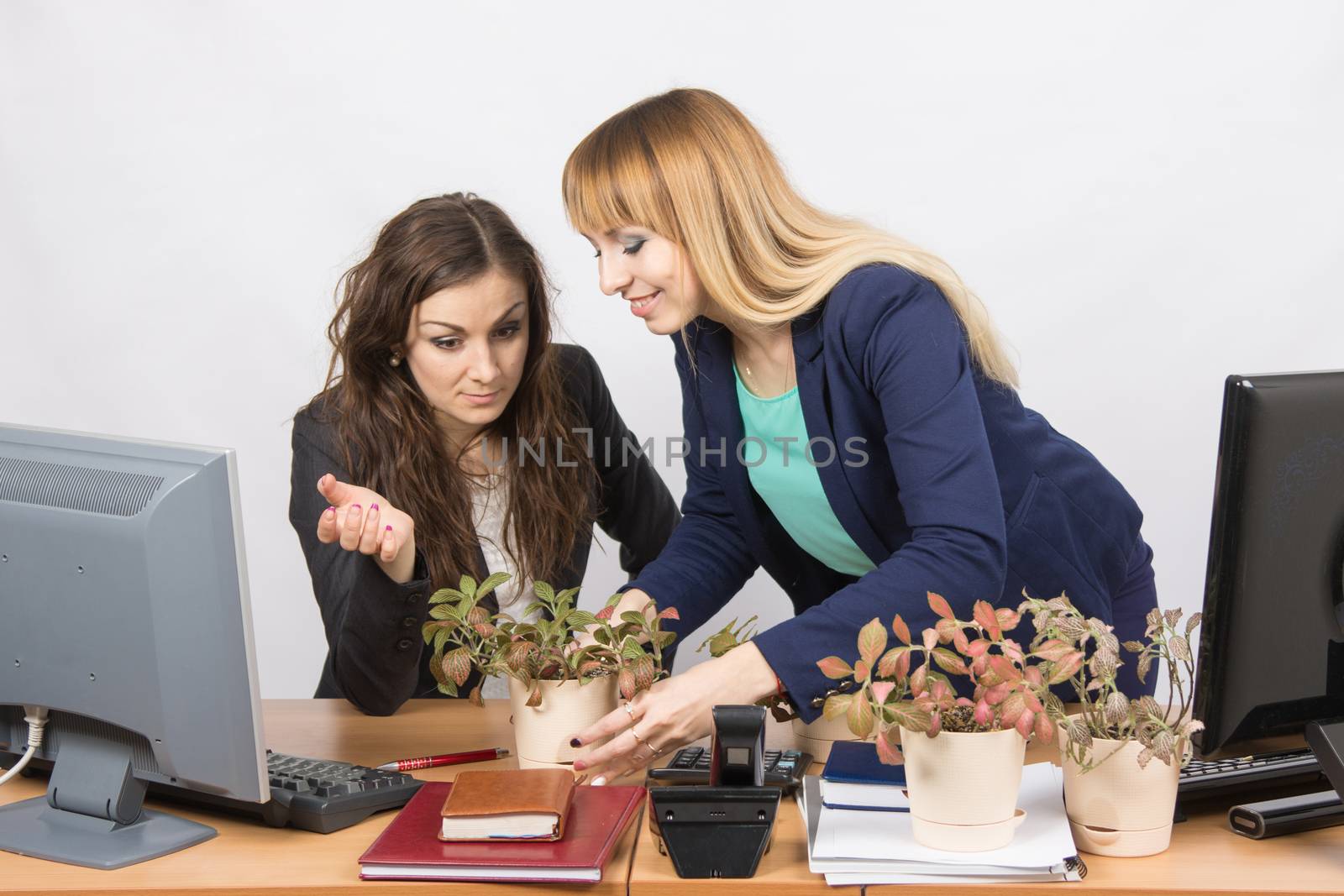 One office employee puts on a workstation other employee of your flowers