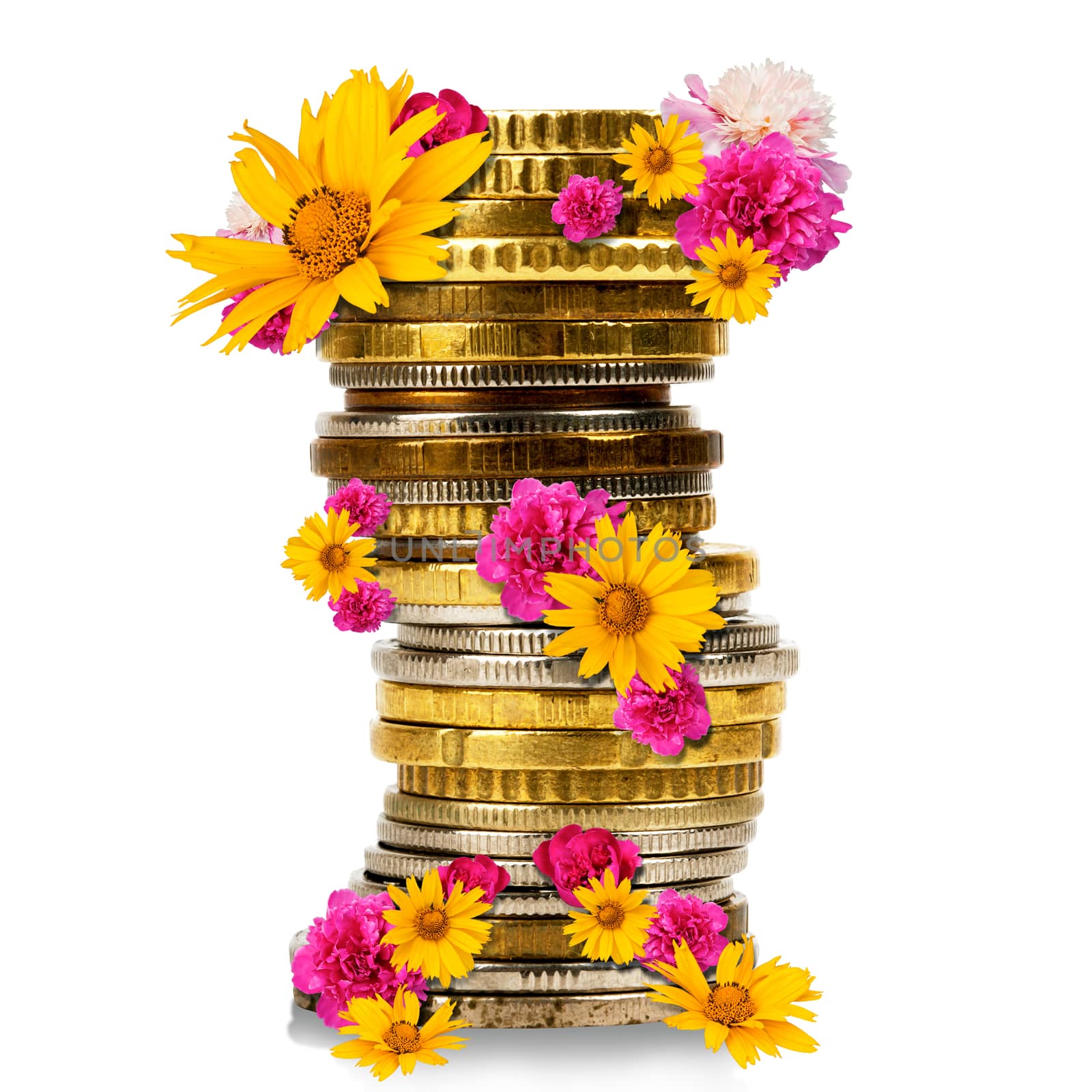 Stack of gold coins with flowers isolated on white background