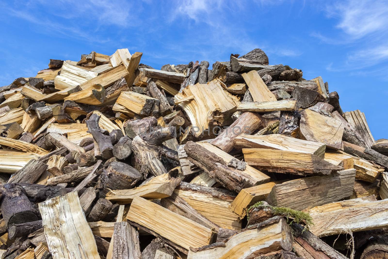 Big heap of chopped tree trunks for burning wood by BenSchonewille