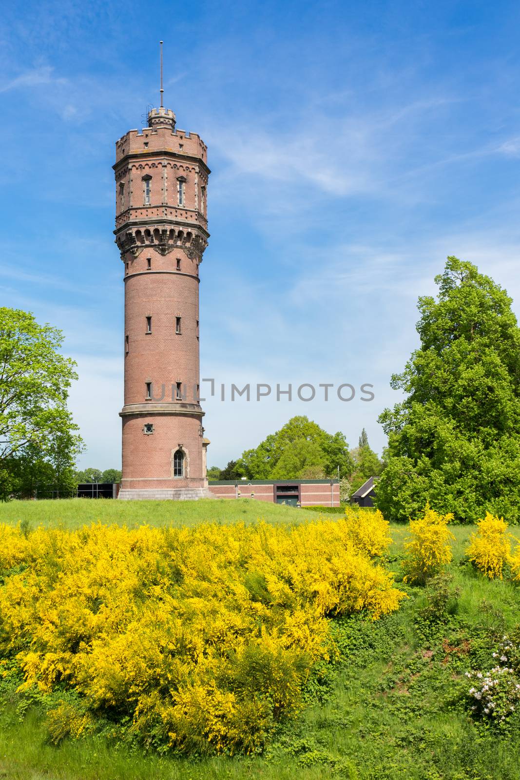 Dutch stone water tower with blooming yellow flowers by BenSchonewille