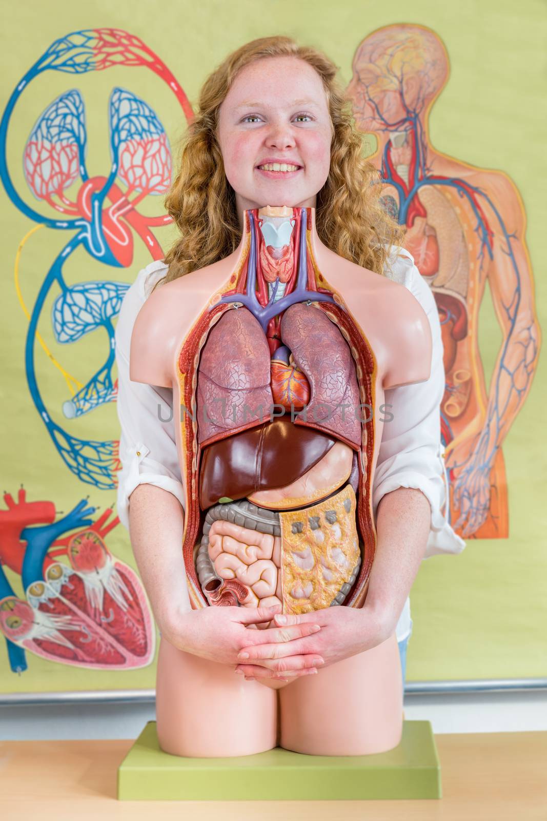 Female student embracing model of human body with organs by BenSchonewille