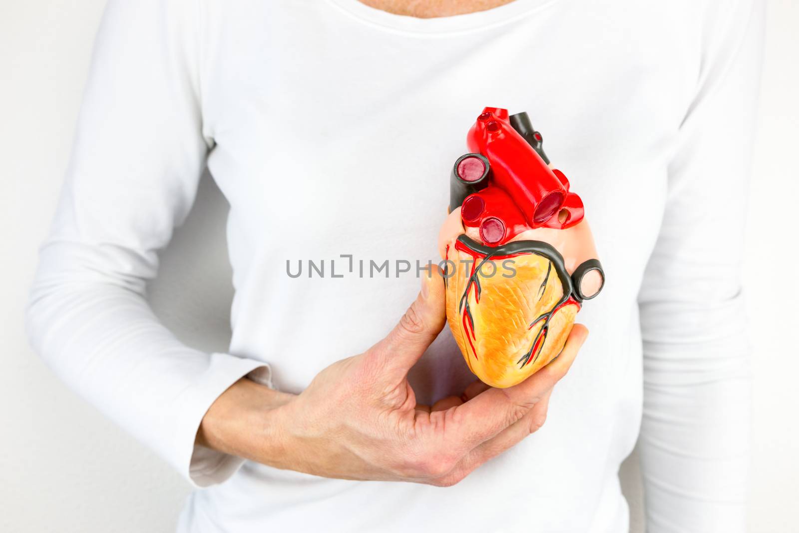 Hand holding human heart model in front of chest by BenSchonewille
