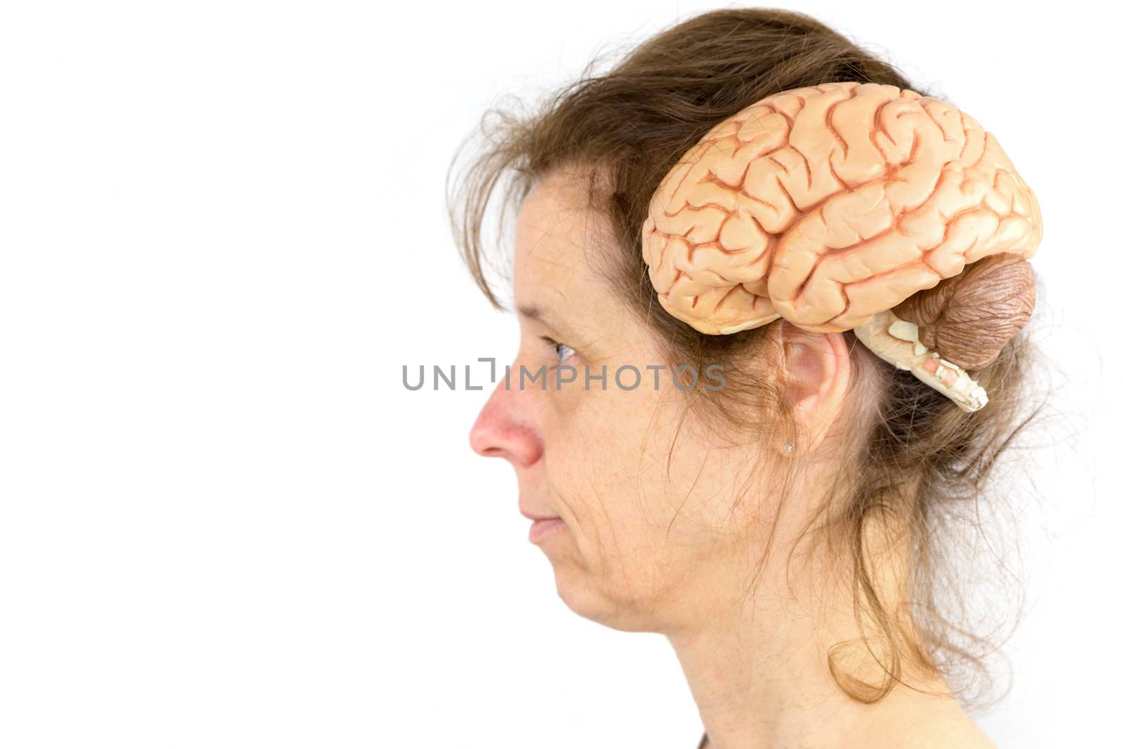 Head of woman with model of human brains isolated on white background