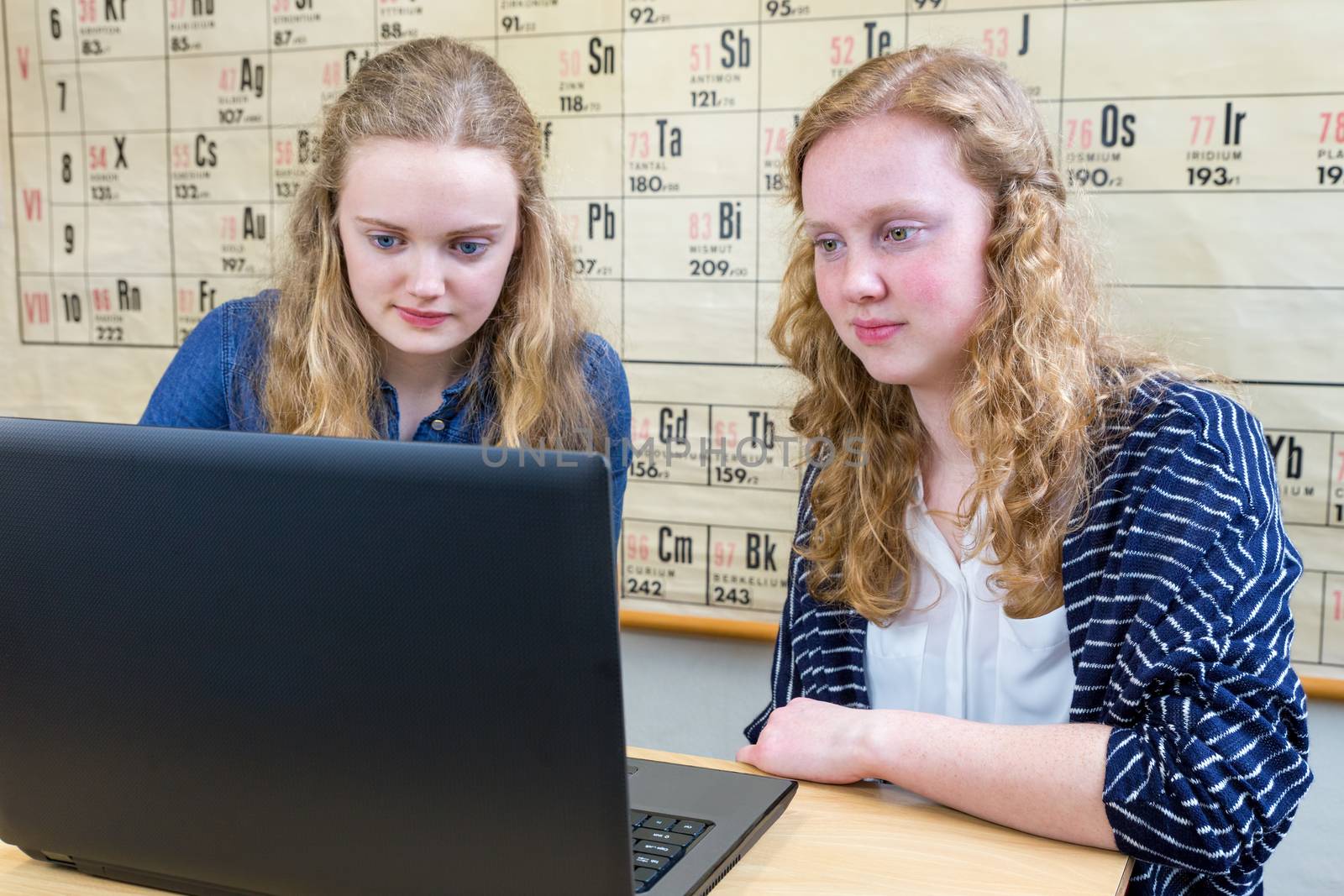 Two dutch teenage girls working at computer in chemistry lesson by BenSchonewille