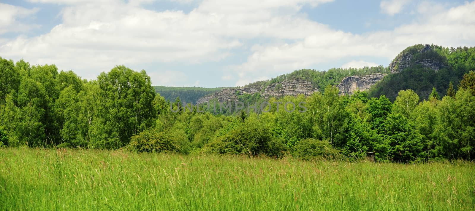 Beautiful green meadow and rocks in the Czech Switzerland