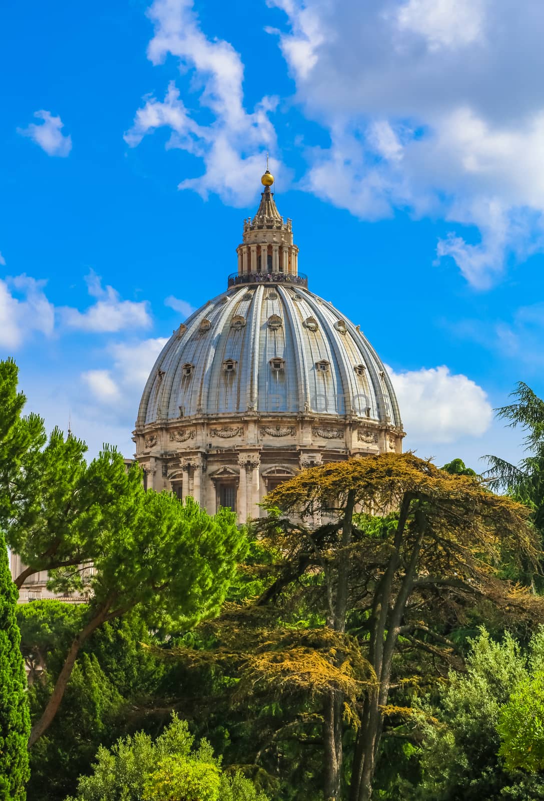 Detail of the Vatican Palace is seen above the treetops. The Dome with beautifull sky. St. Peter's Basilica, St. Peter's Square, Vatican City.