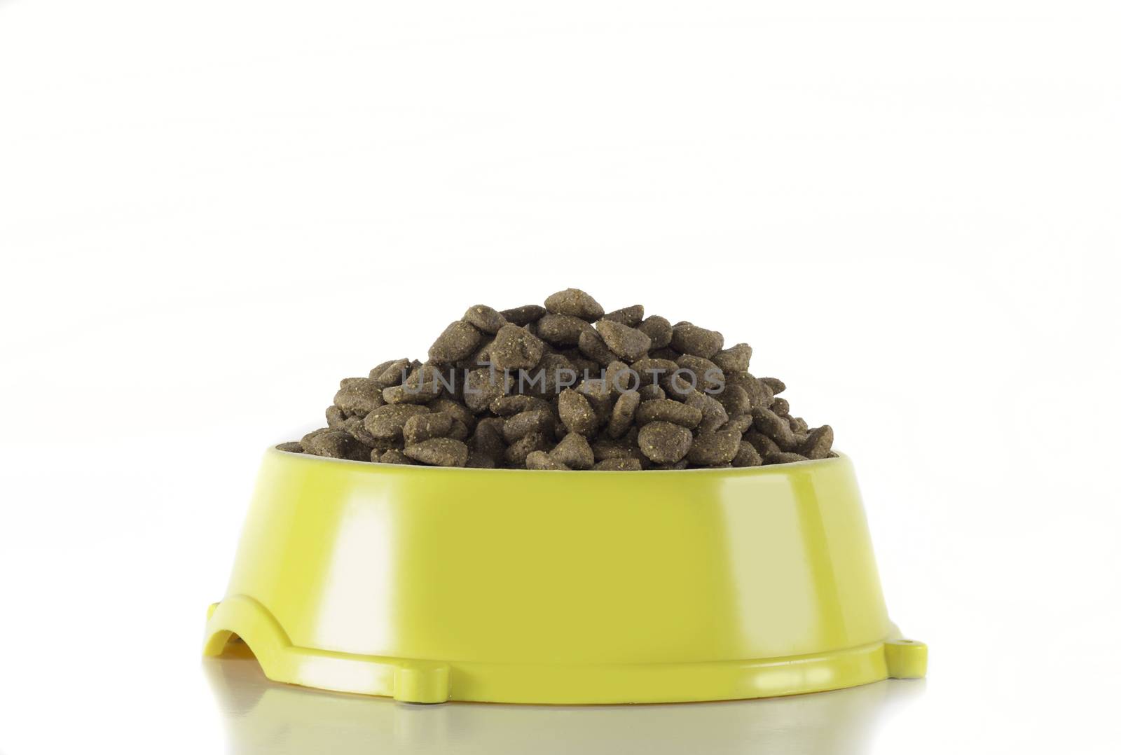 Dog food in yellow bowl, isolated on white studio background