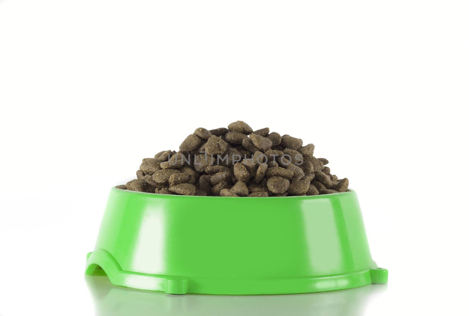 Dog food in green bowl, isolated on white studio background
