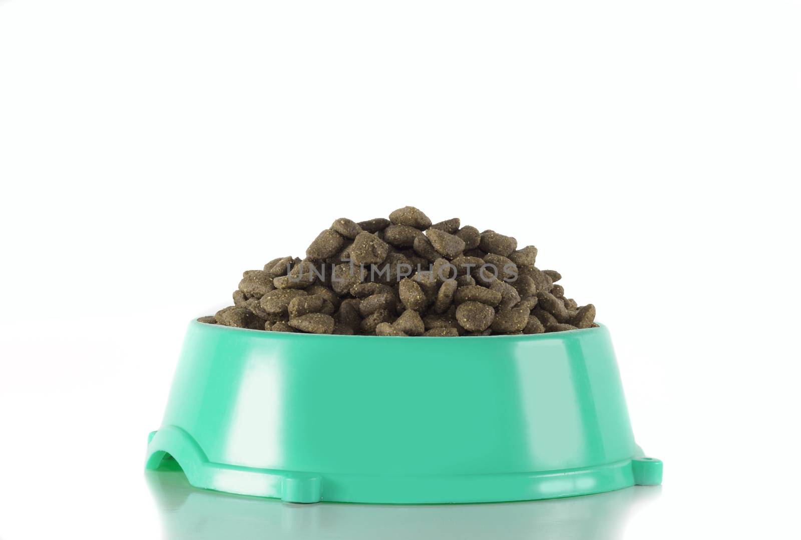 Dog food in ocean green bowl, isolated on white studio background