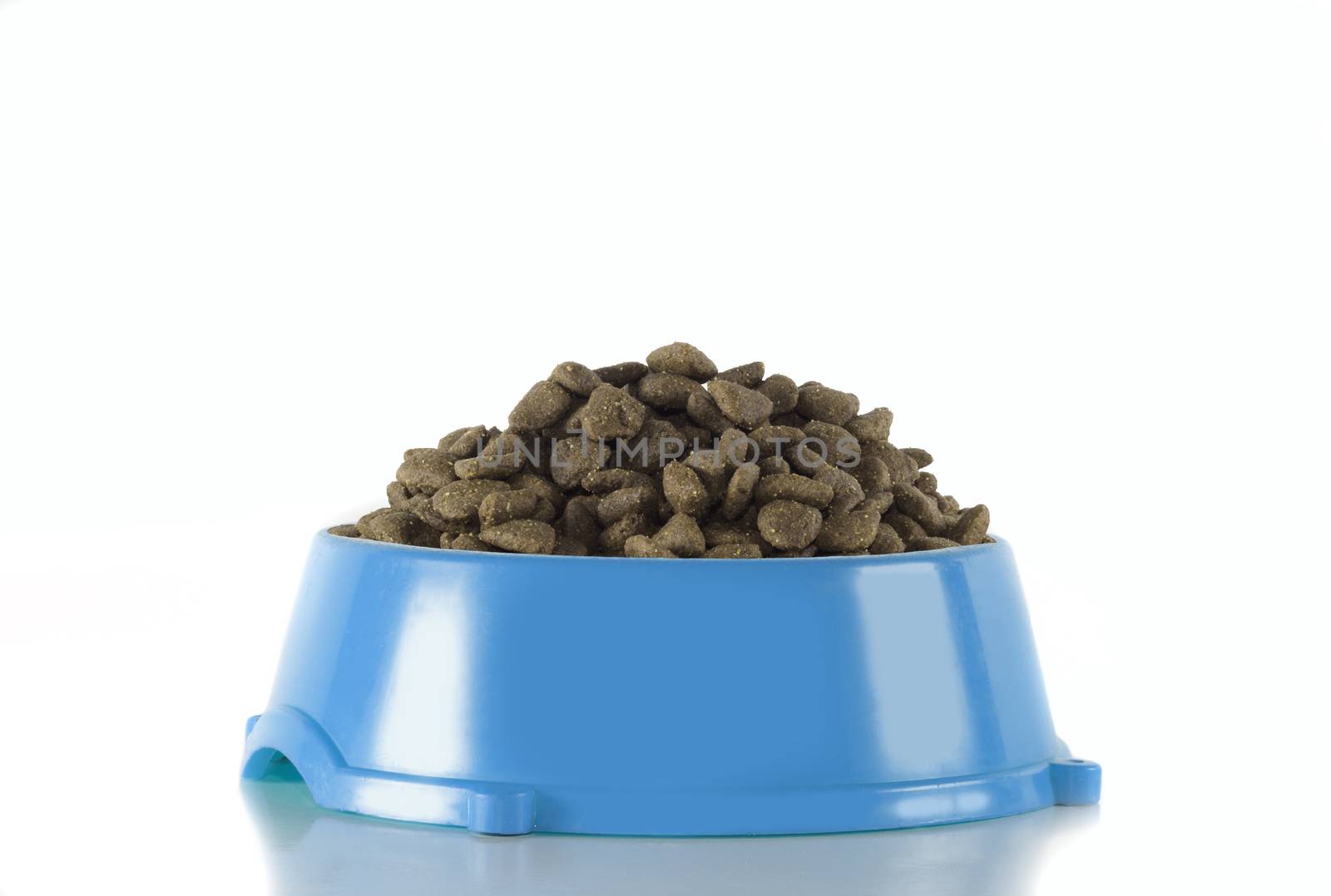 Dog food in light blue bowl, isolated on white studio background
