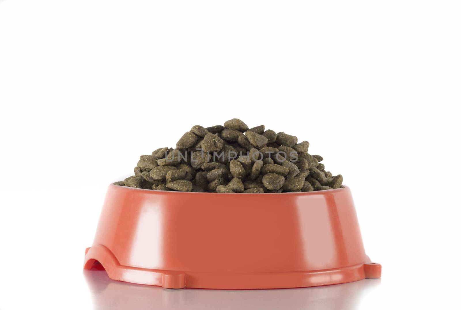 Dog food in red bowl, isolated on white studio background