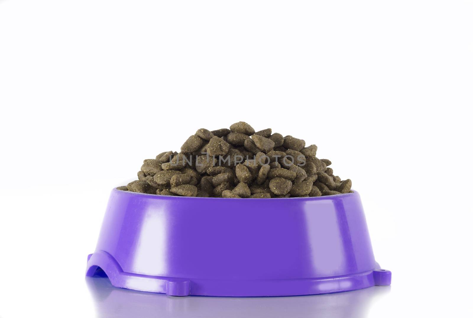 Dog food in purple bowl, white studio background