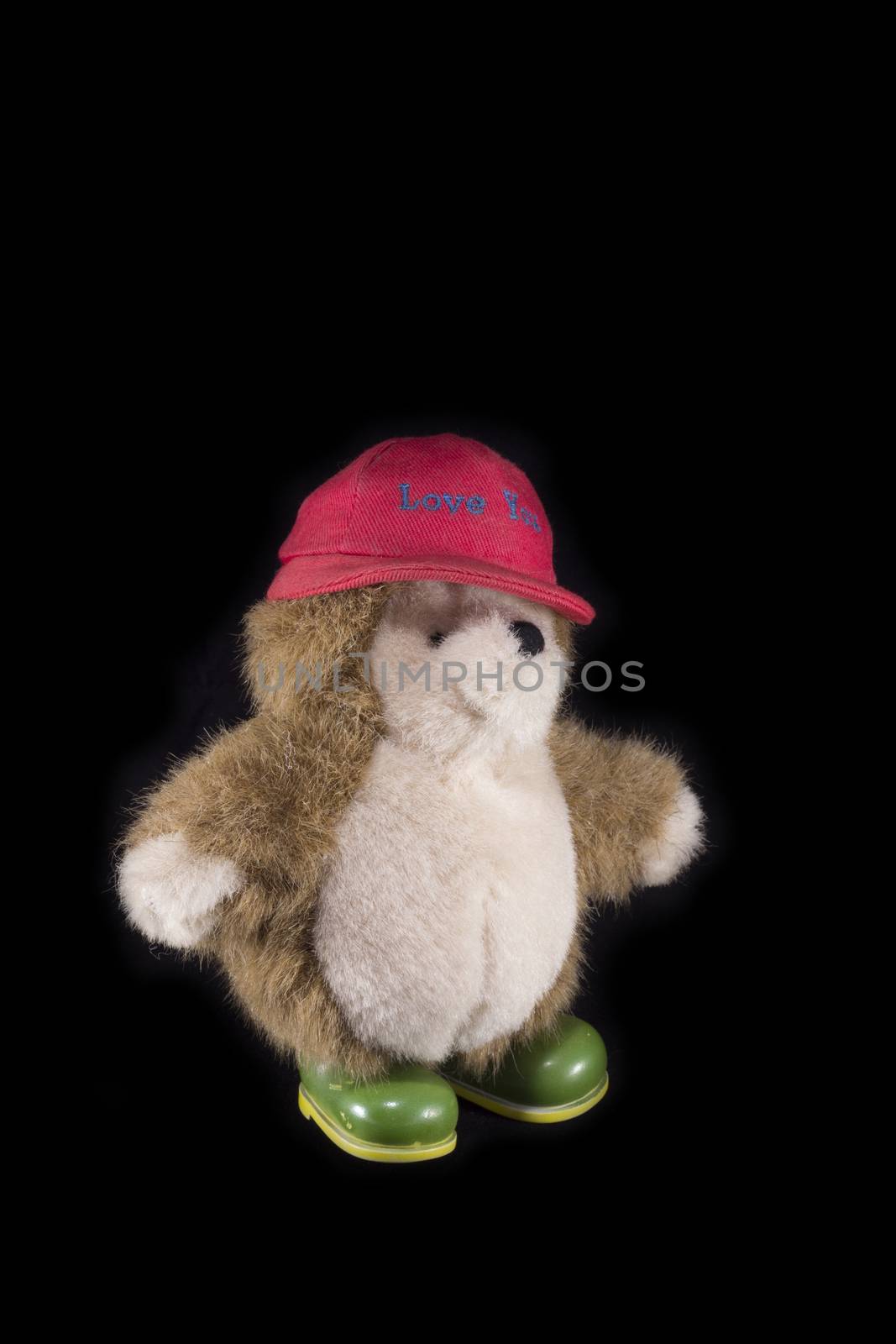 Teddy bear with red cap and green boots