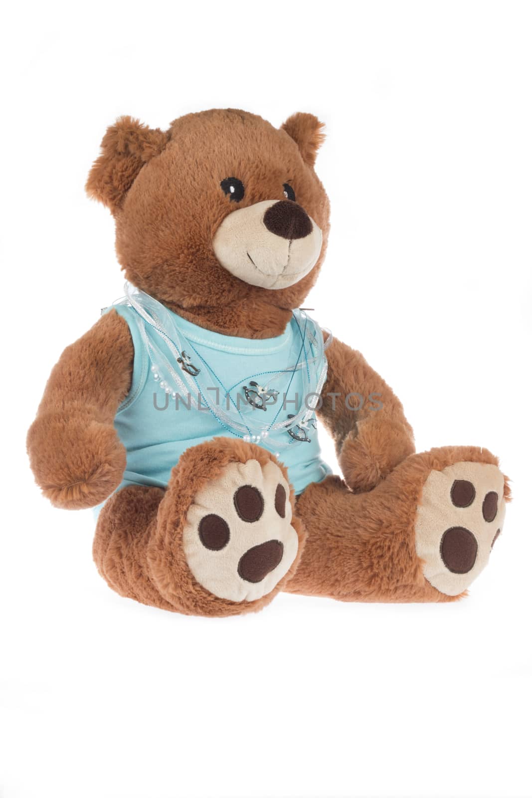 Teddy bear with blue shirt, isolated by avanheertum