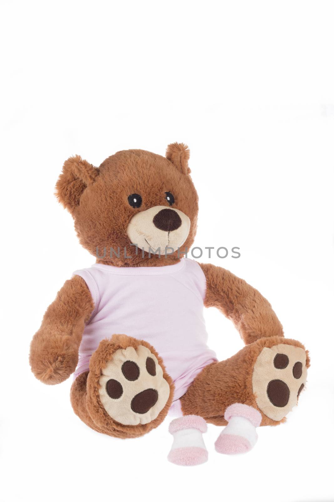 Teddy bear with pink shirt and socks, isolated on white background