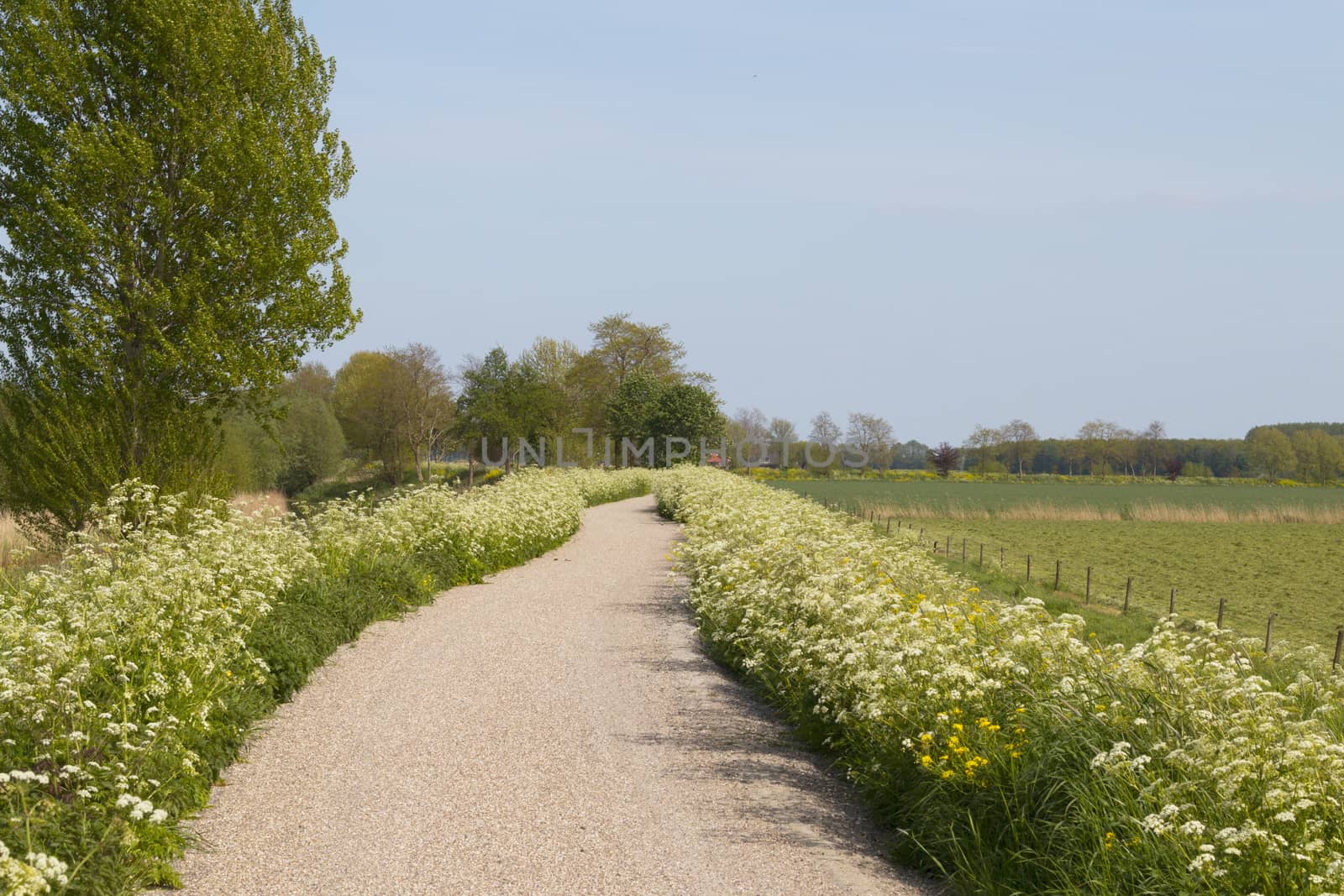 Landscape with bicycle path and grassland and blue sky