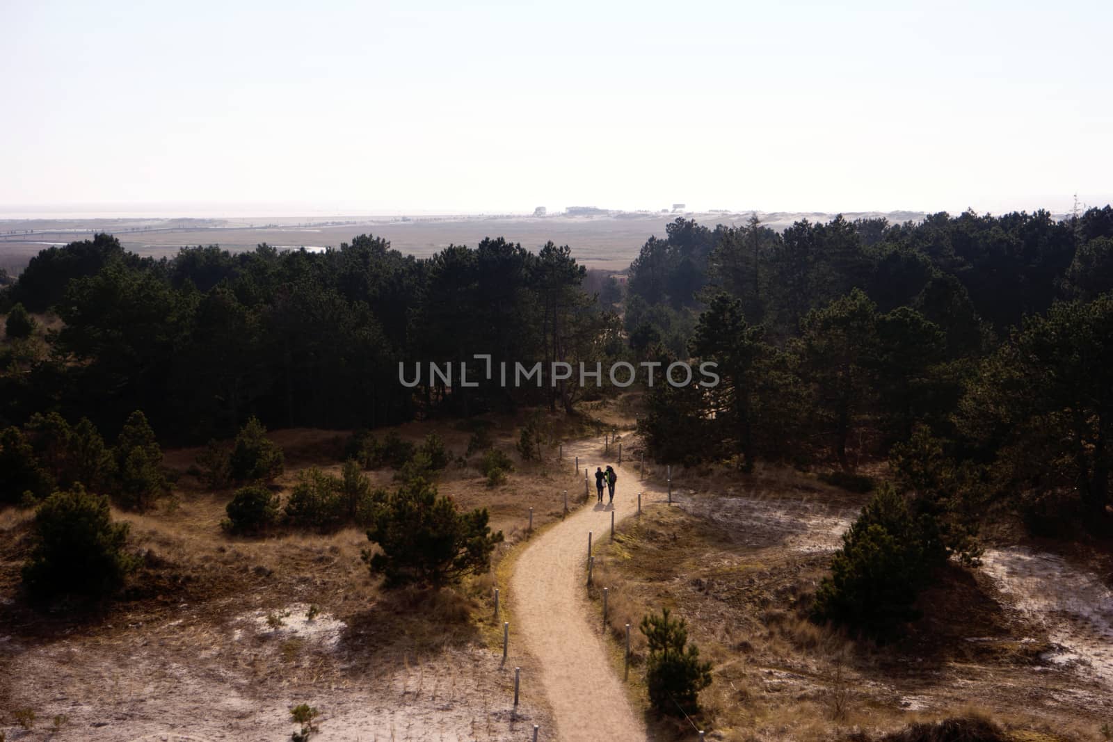 Dune Landscape in St. Peter-Ording in Germany by 3quarks