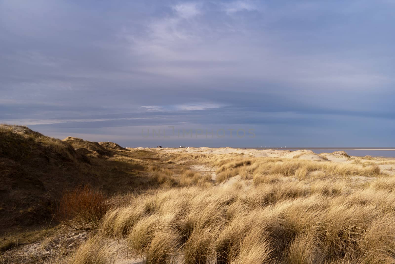 On the Beach of St. Peter-Ording in Germany by 3quarks