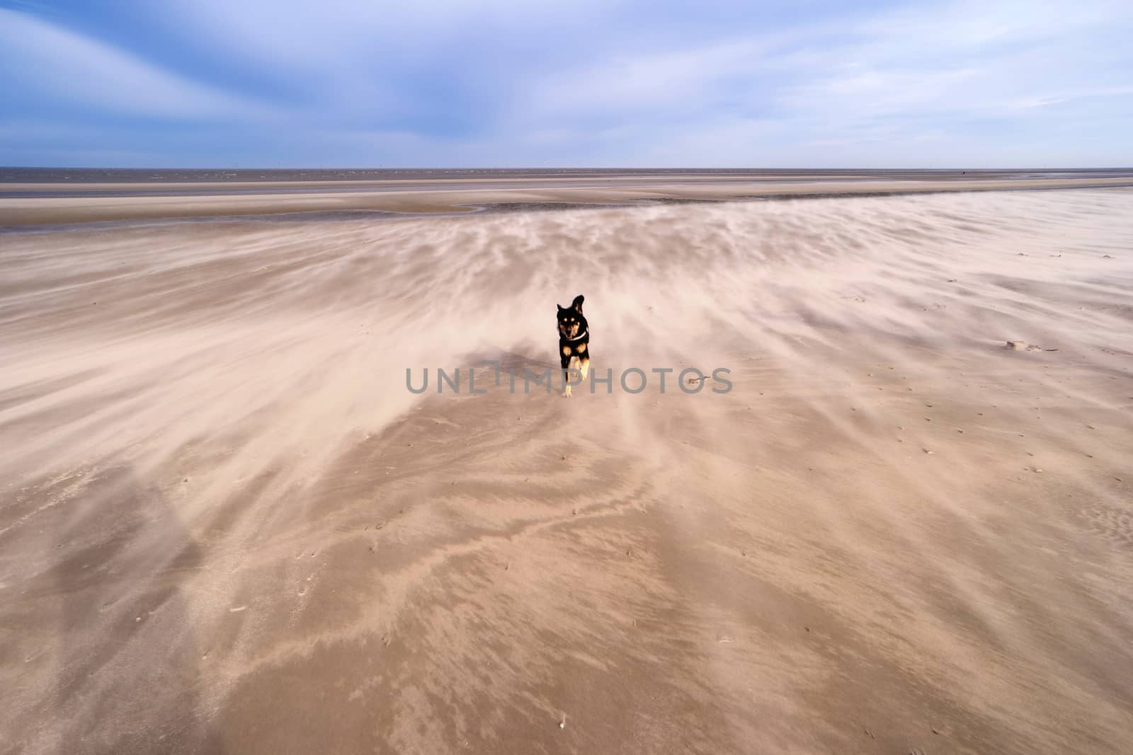 On the Beach of St. Peter-Ording in Germany by 3quarks