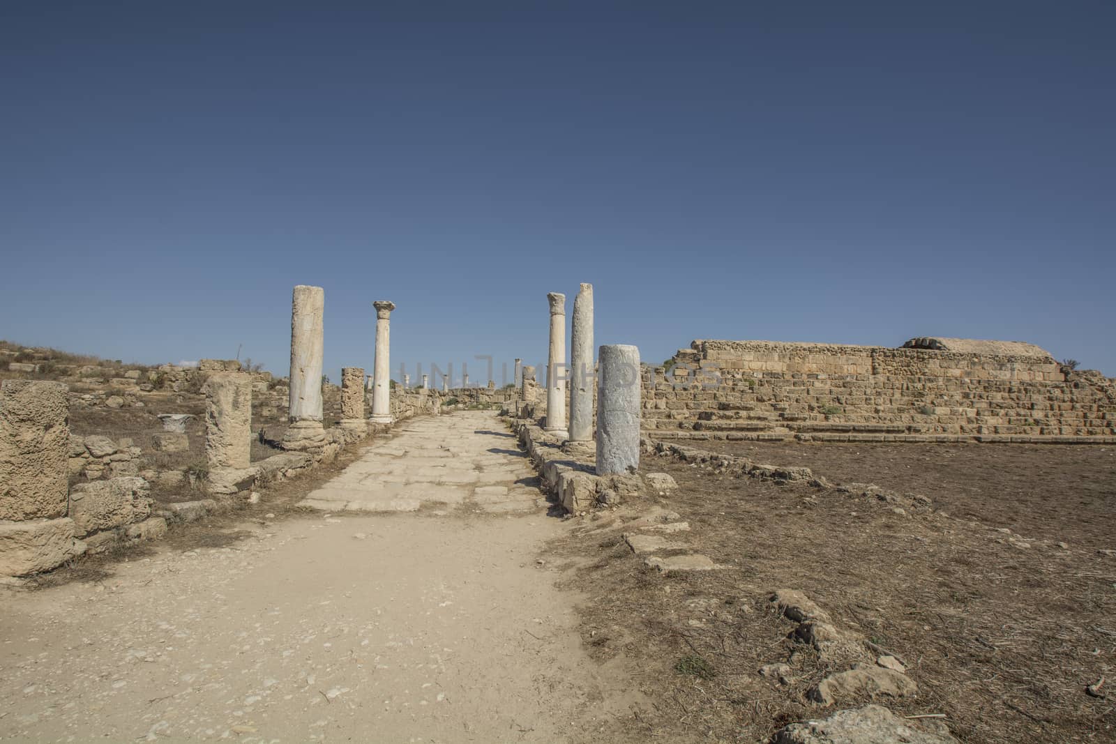 Salamis ruins.ancient Roman site in Cyprus