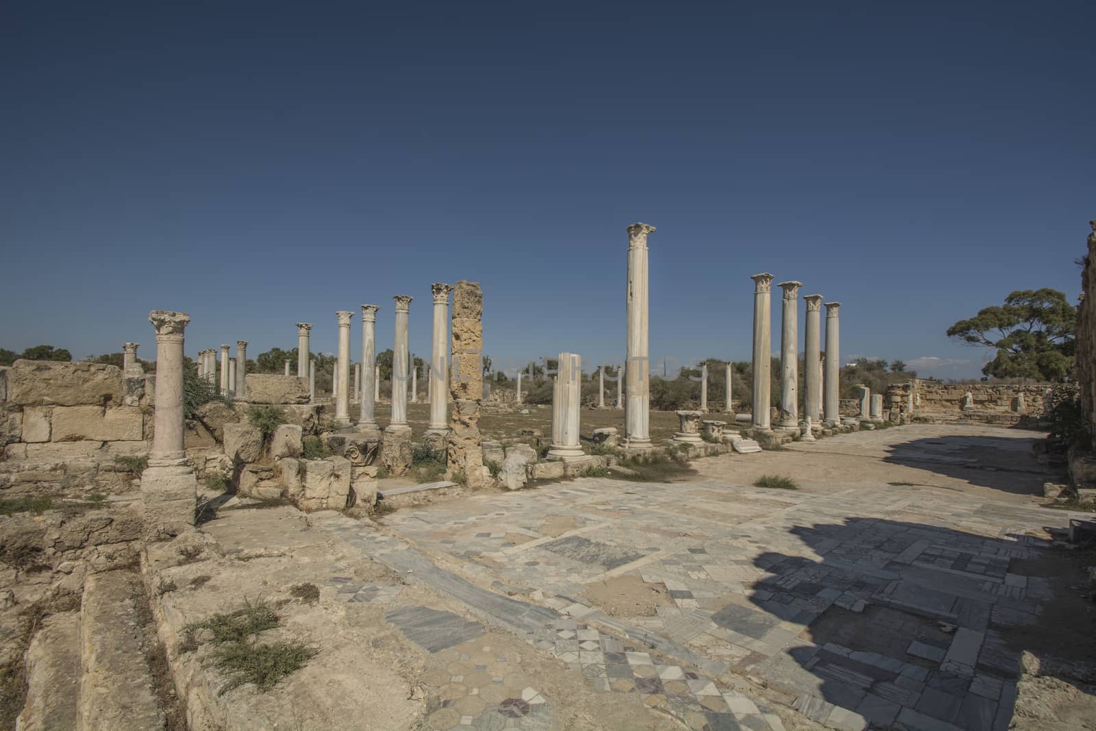 Salamis ruins.ancient Roman site in Northen Cyprus