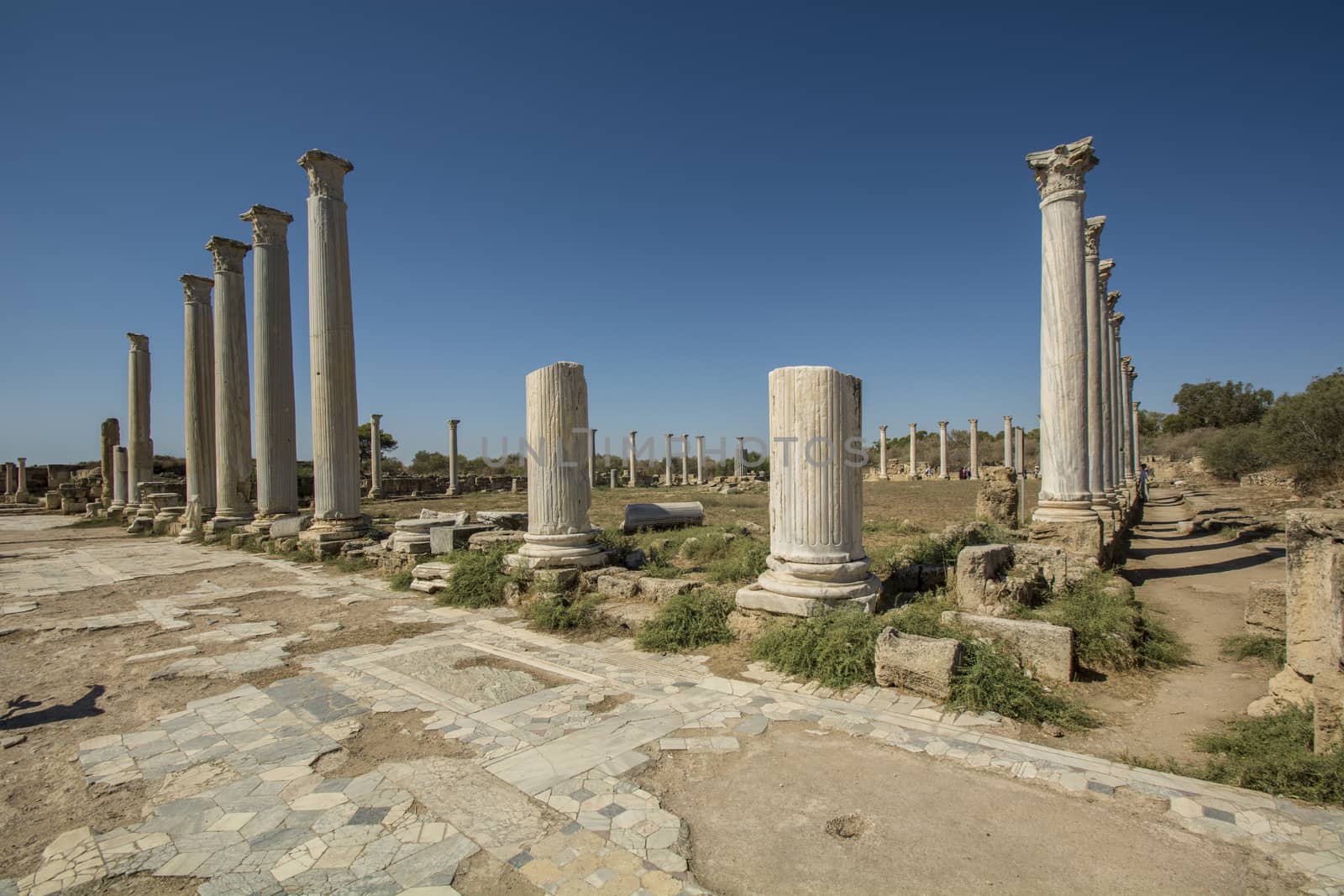Salamis ruins.ancient Roman site in Northen Cyprus