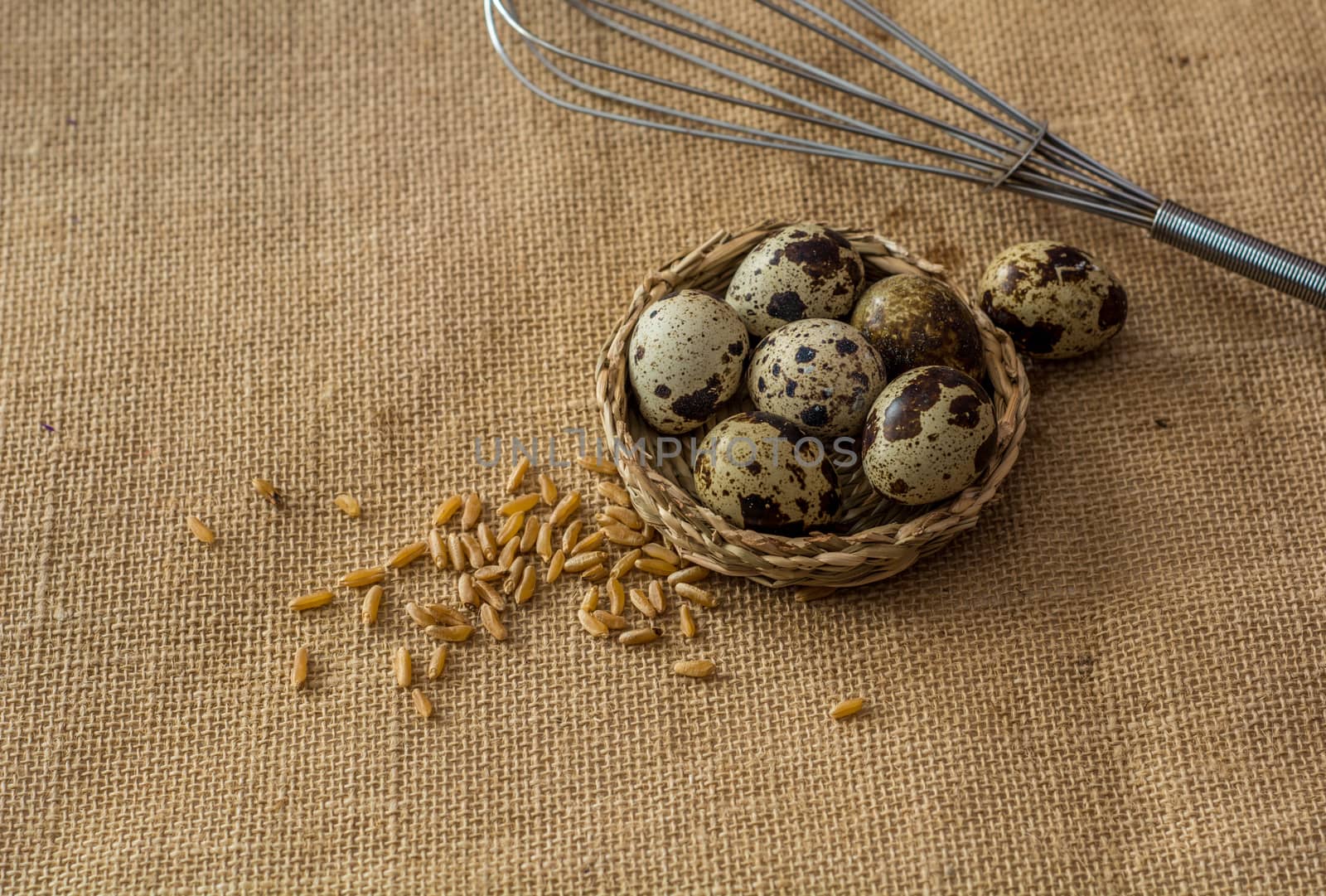 Quail eggs,wheat and eggbeater on grey background