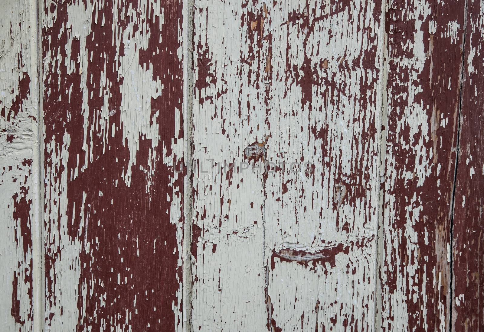  Wooden texture background.Old wood