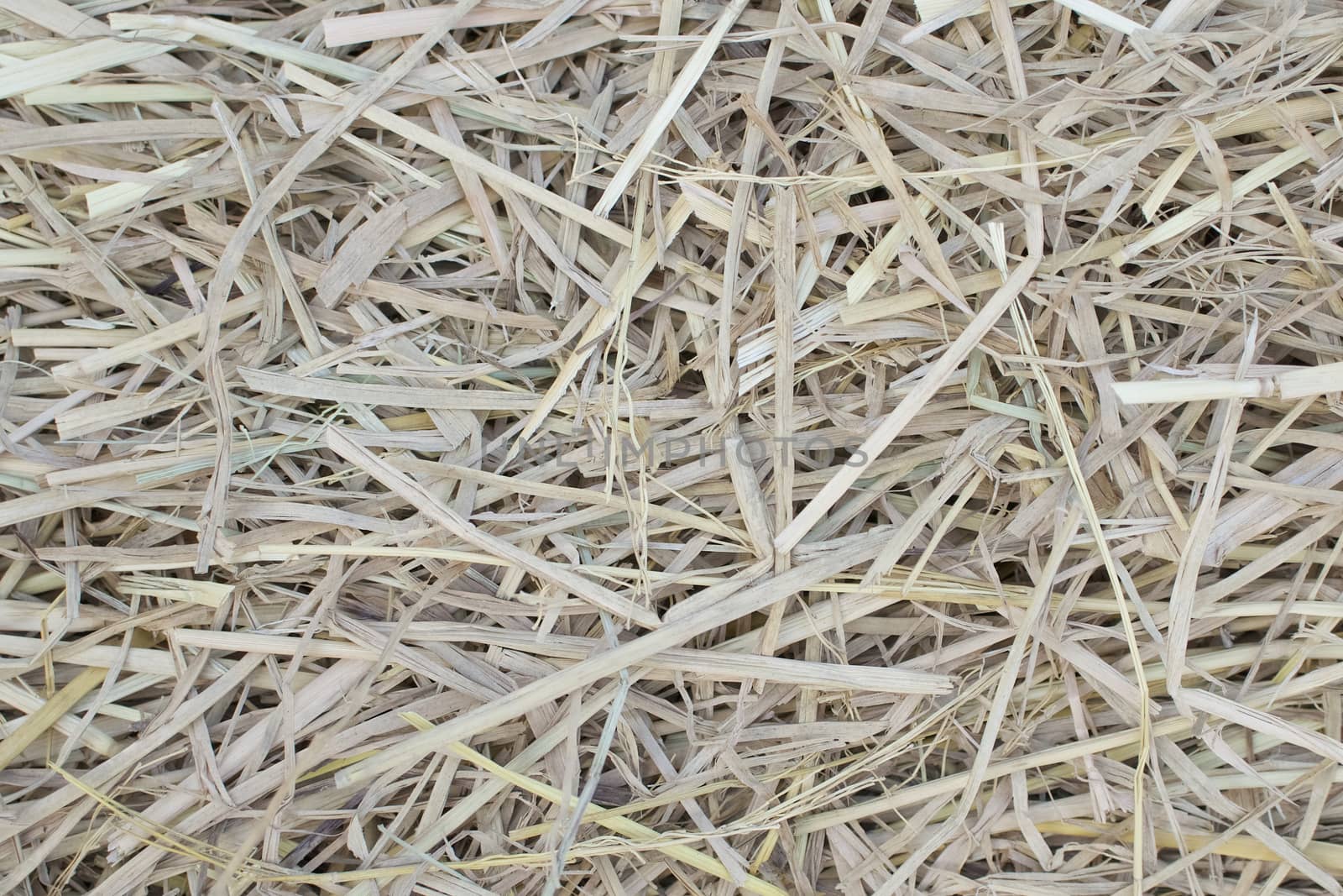 Cluster of straw from dry bamboo leaves use as texture or background.