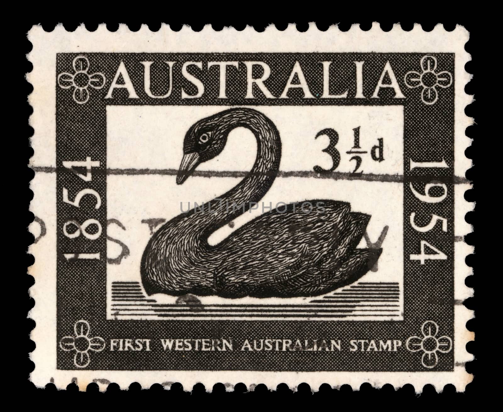 Stamp printed in AUSTRALIA shows the Swan, Western Australias first postage stamp centenary, circa 1954