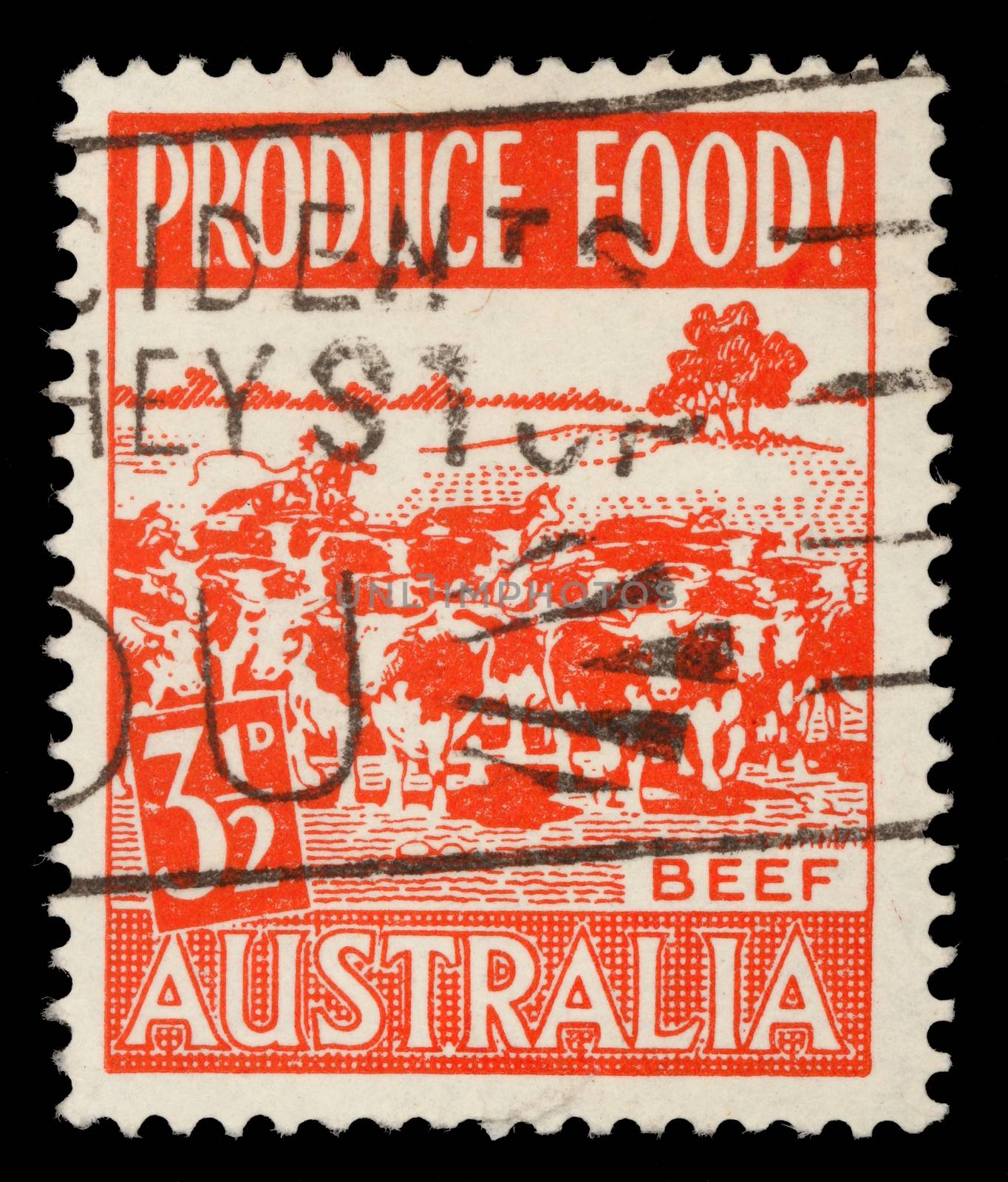 Stamp printed in Australia shows herd of cows