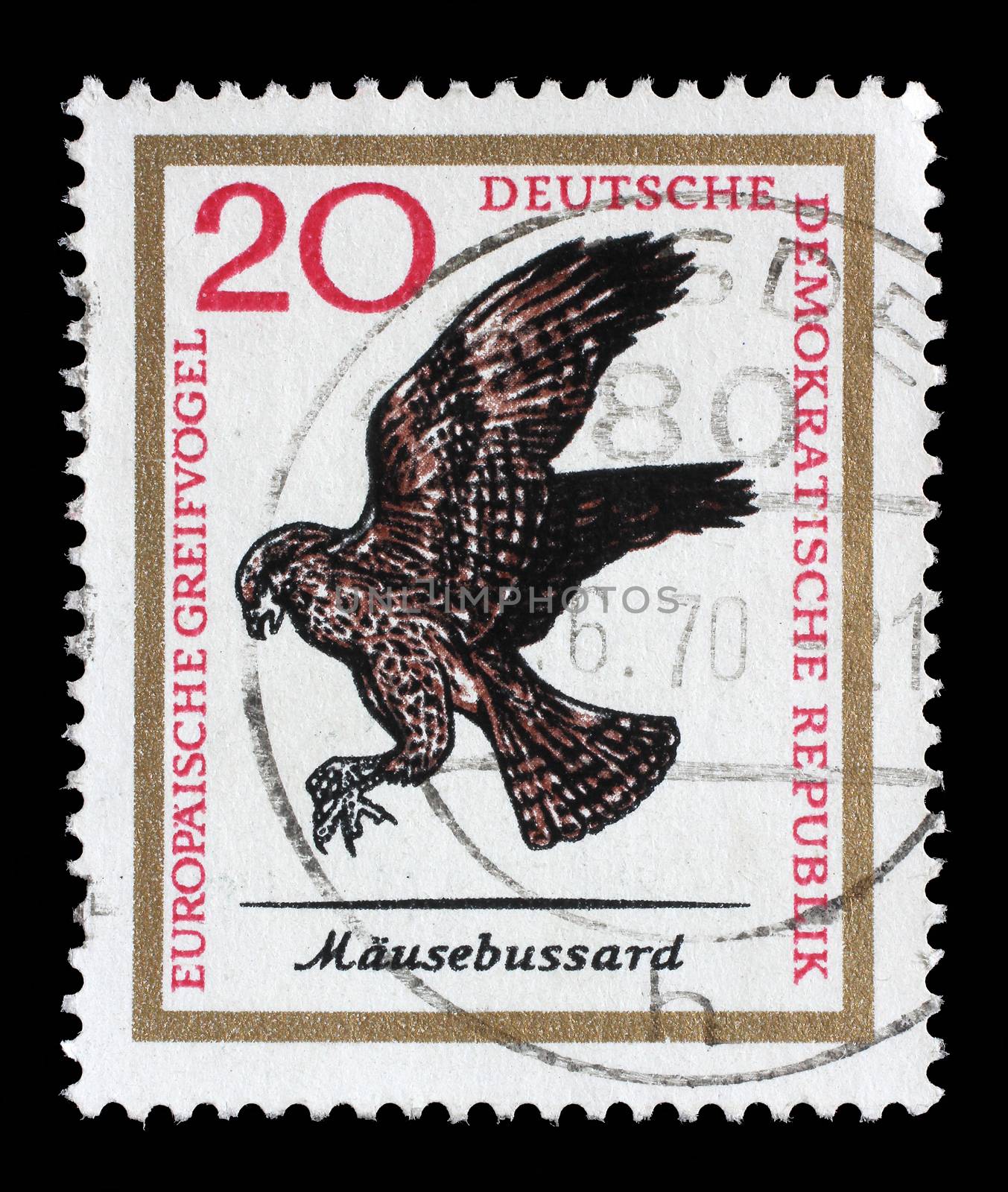 Stamp printed in Germany from the European Birds of Prey shows Hawk, circa 1965.