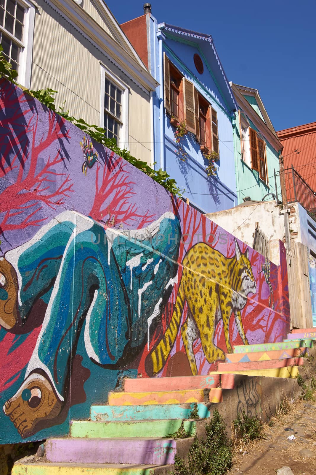 Colourfully decorated houses and steps on Templeman, a historic street in the UNESCO World Heritage port city of Valparaiso, Chile.