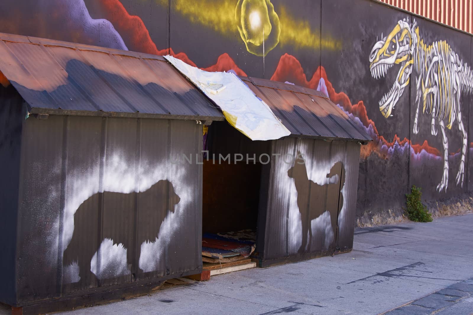 Communal kennels for some of the many street dogs that live in the historic port city of Valparaiso, Chile.