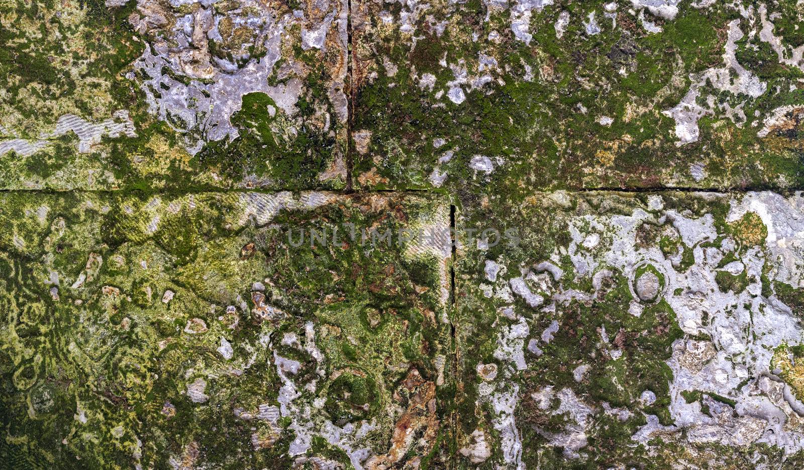 photo ancient masonry overgrown with moss. closeup