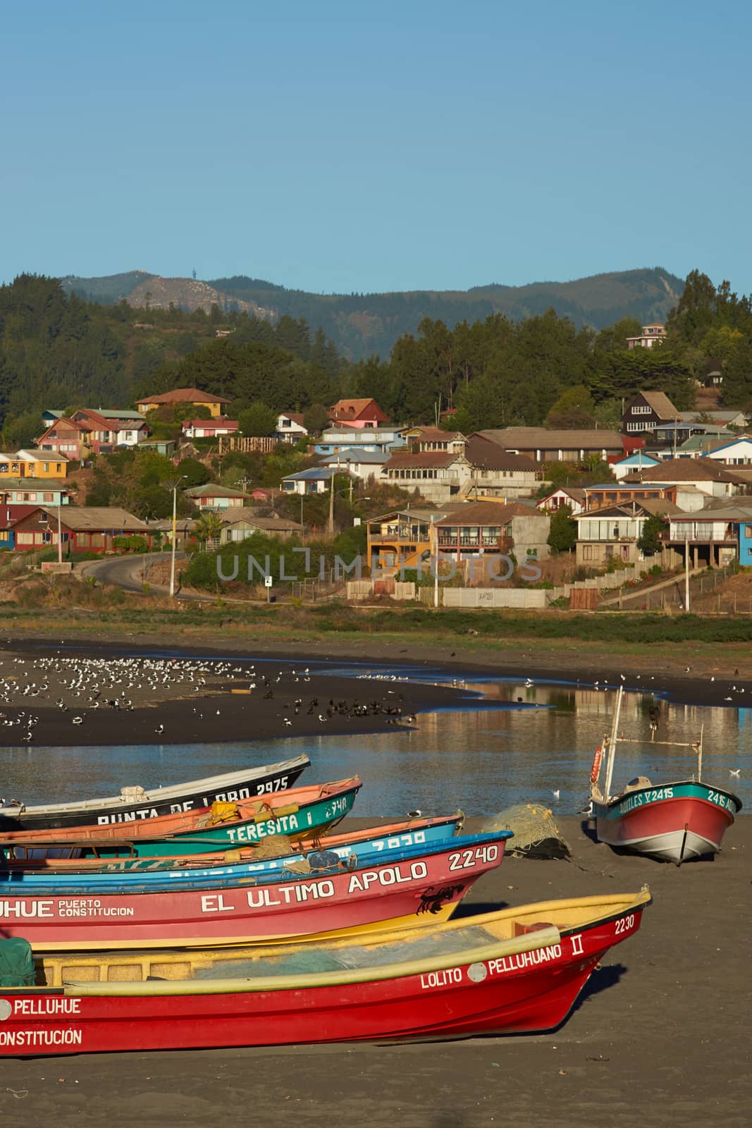 Colourful fishing boats on the beach in the small fishing village of Curanipe in the Maule Region of Chile.