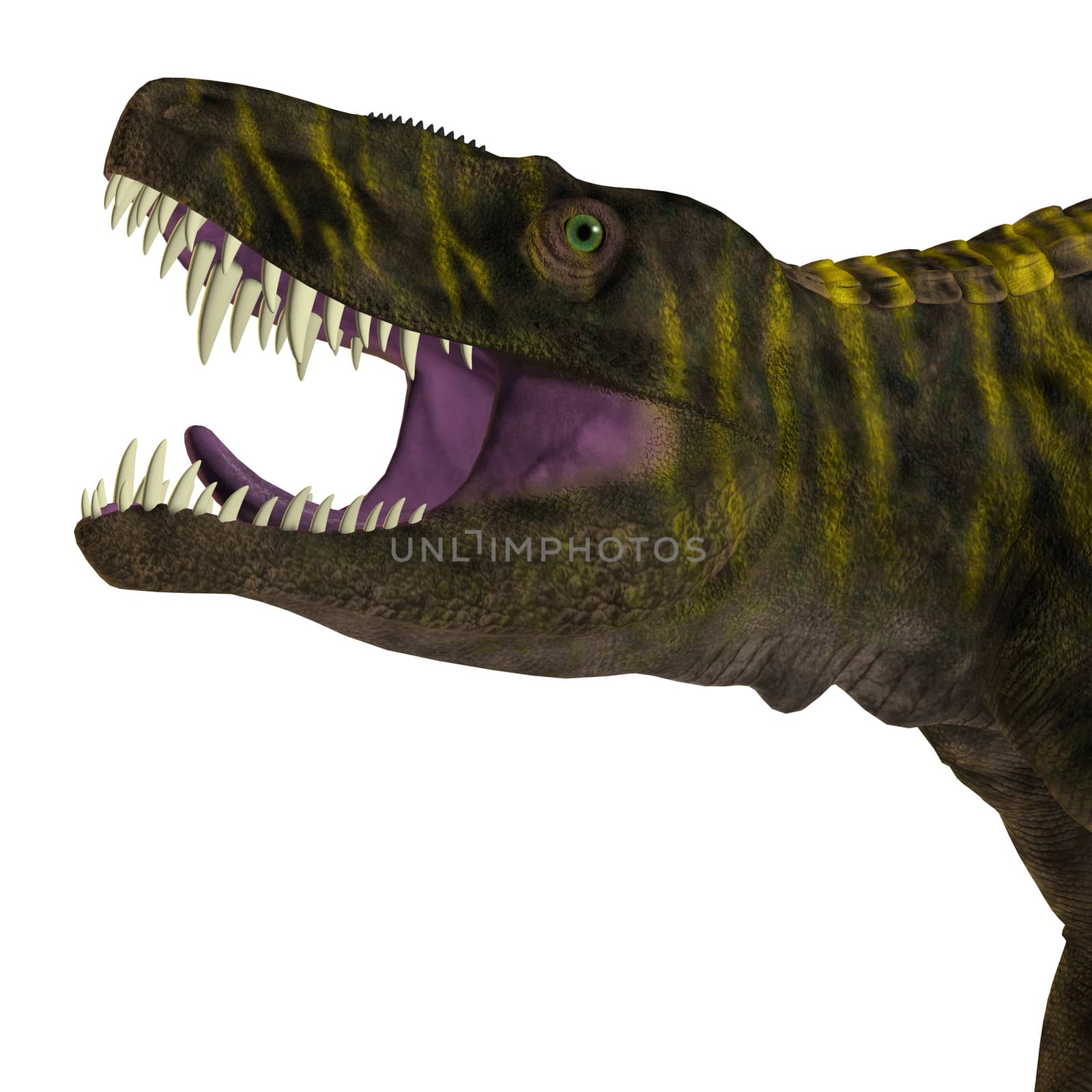 Batrachotomus Dinosaur Head by Catmando