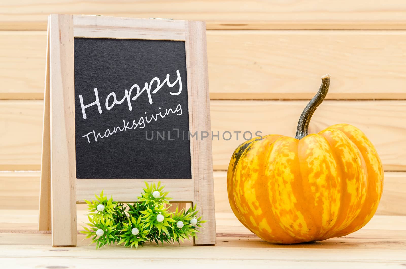 Happy Thanksgiving - white chalk handwriting with pumpkins in wood room.