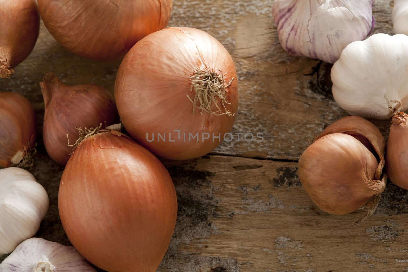 Fresh whole brown onions and garlic by stockarch