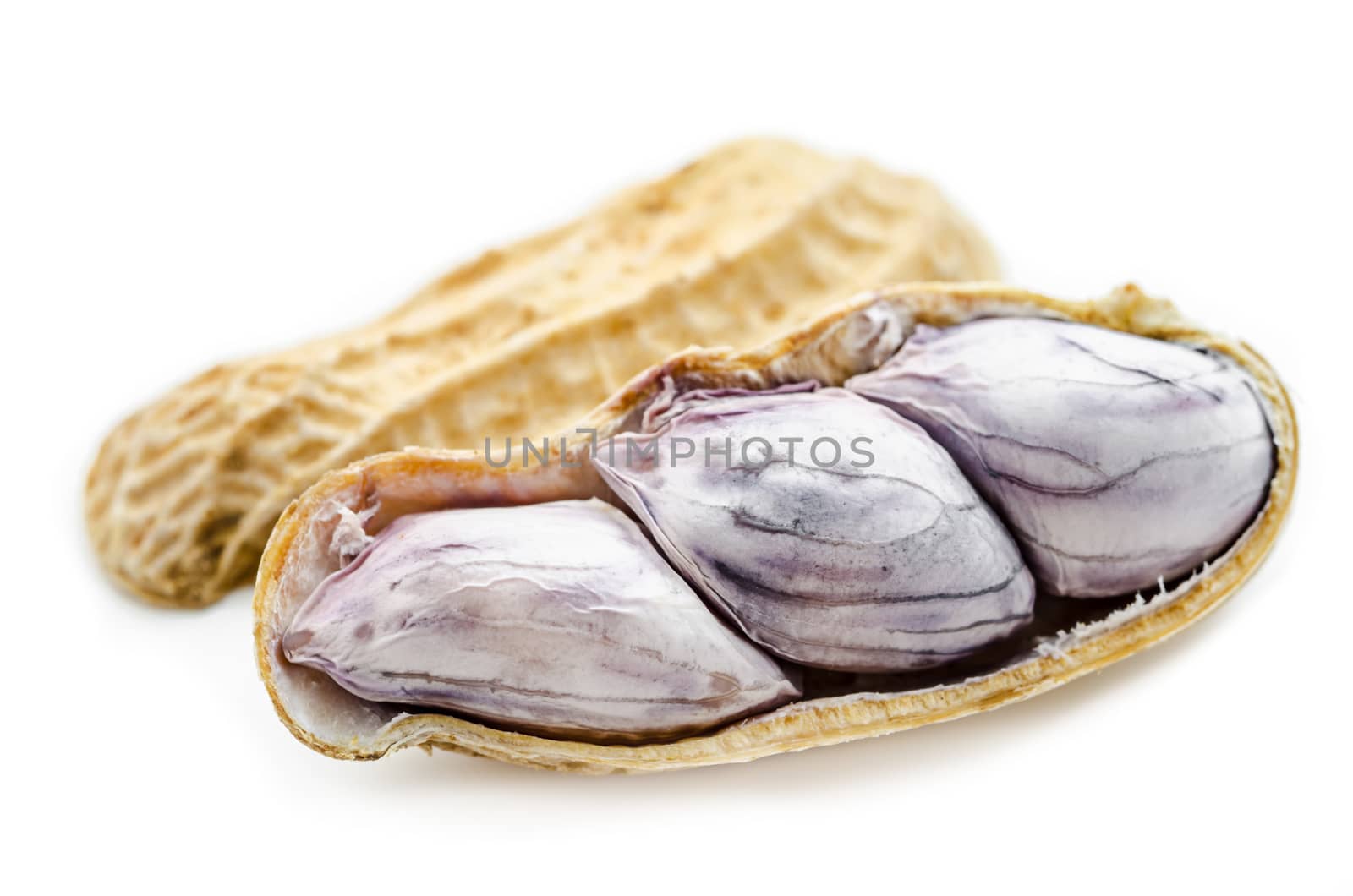 The Closeup of boil peanut thai style on white background
