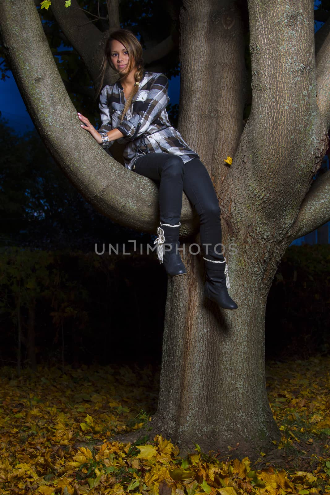 twenty something girl sitting on a tree branch