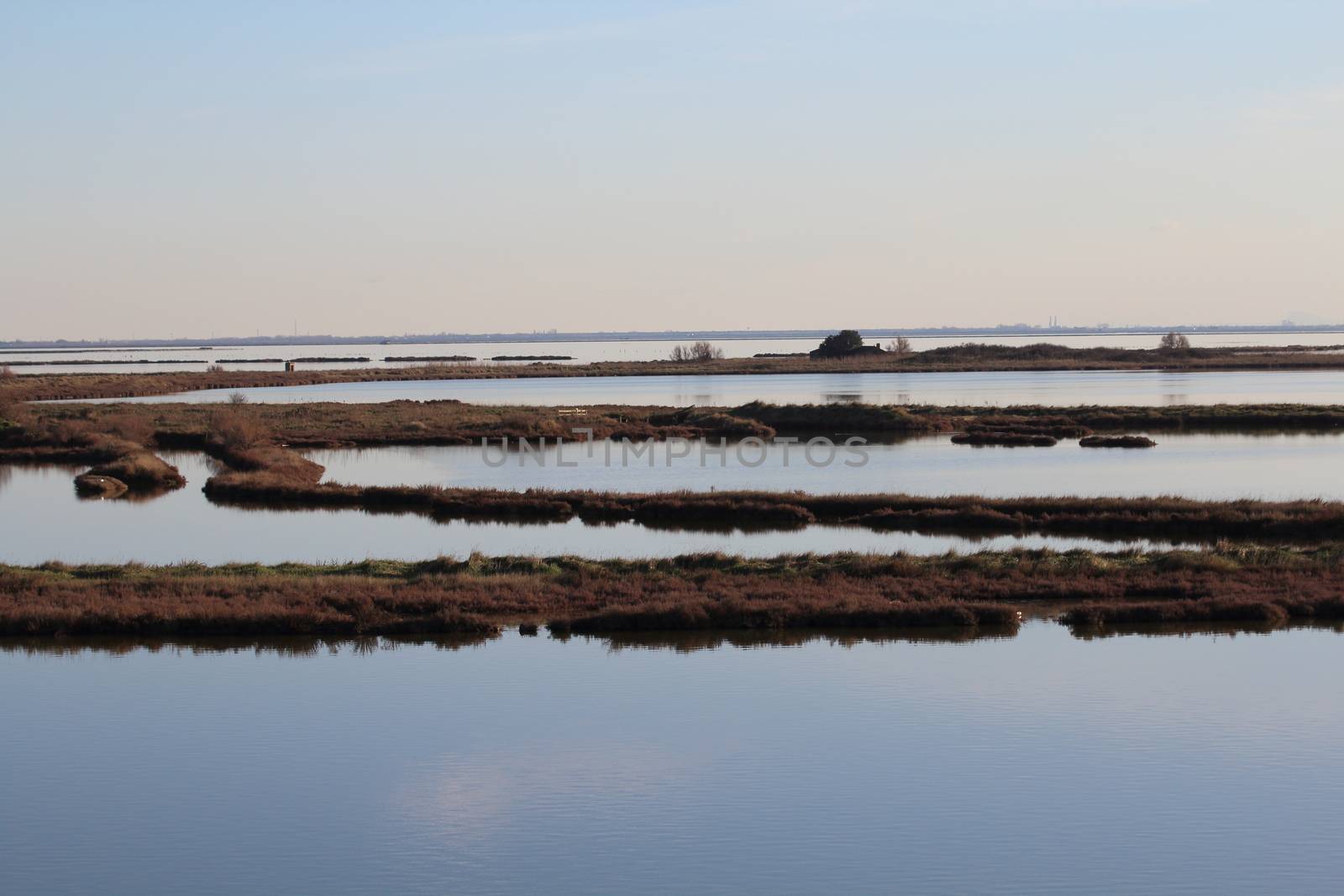 Landscape at sunset of the swamp - the lagoon in the natural reserve