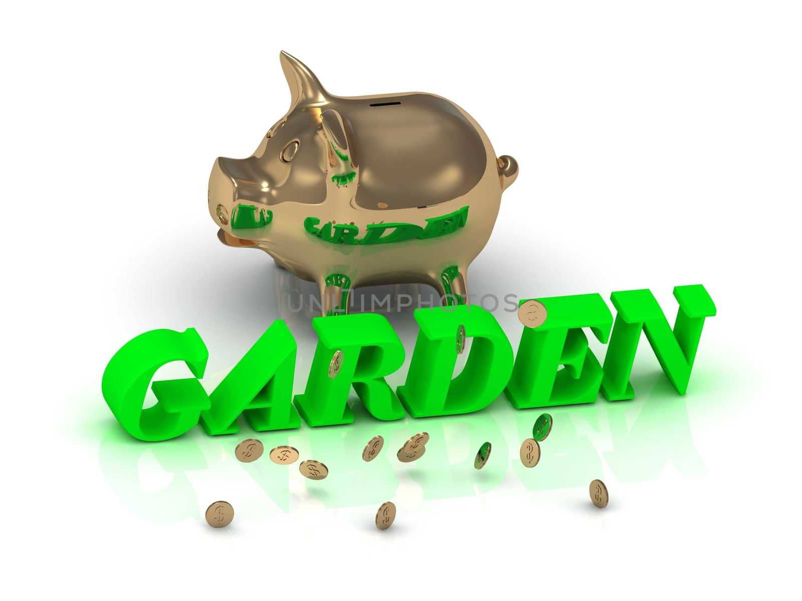 GARDEN- inscription of green letters and gold Piggy on white background