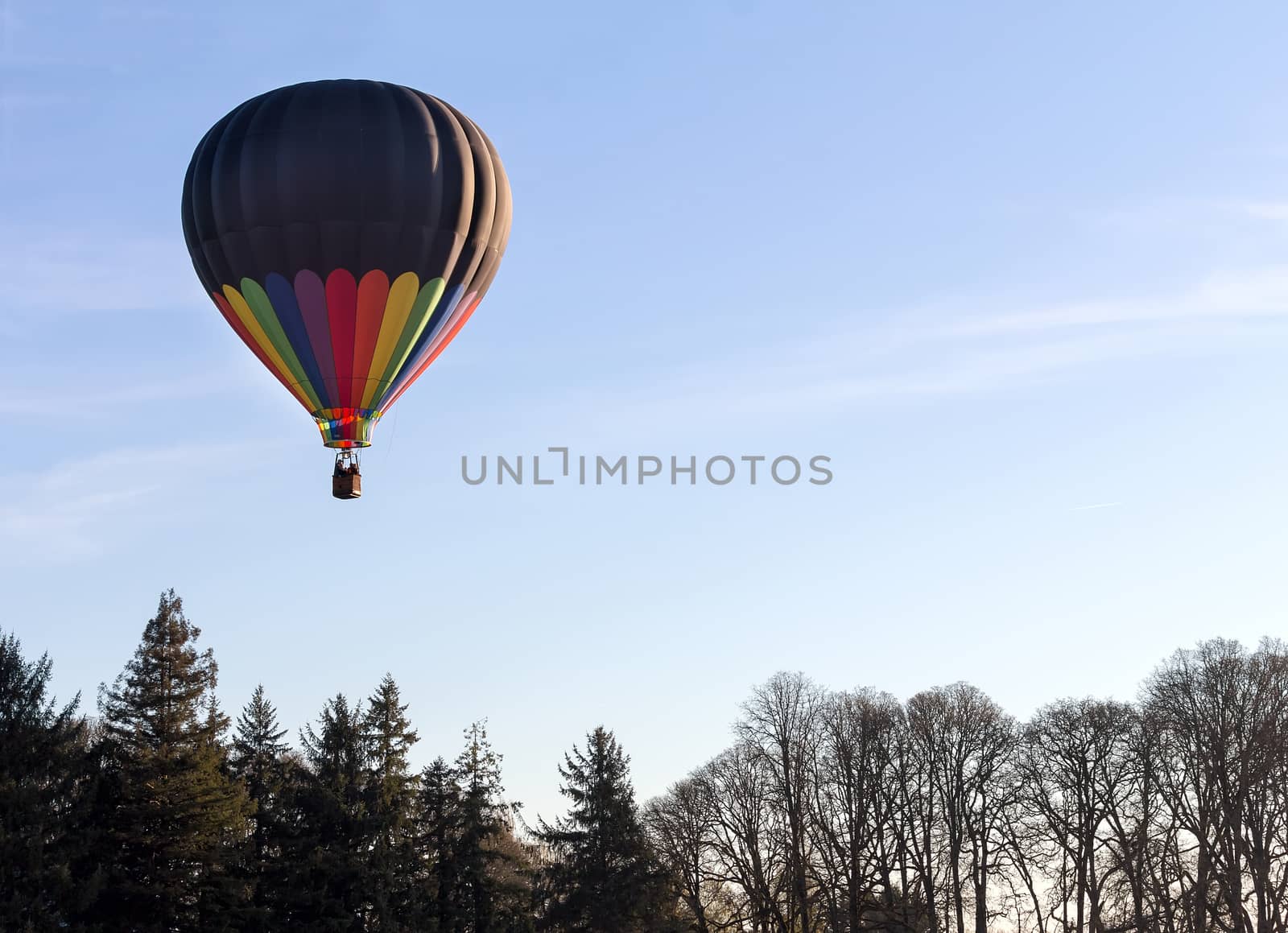 Colorful Hot Air Balloon Over Trees by Davidgn