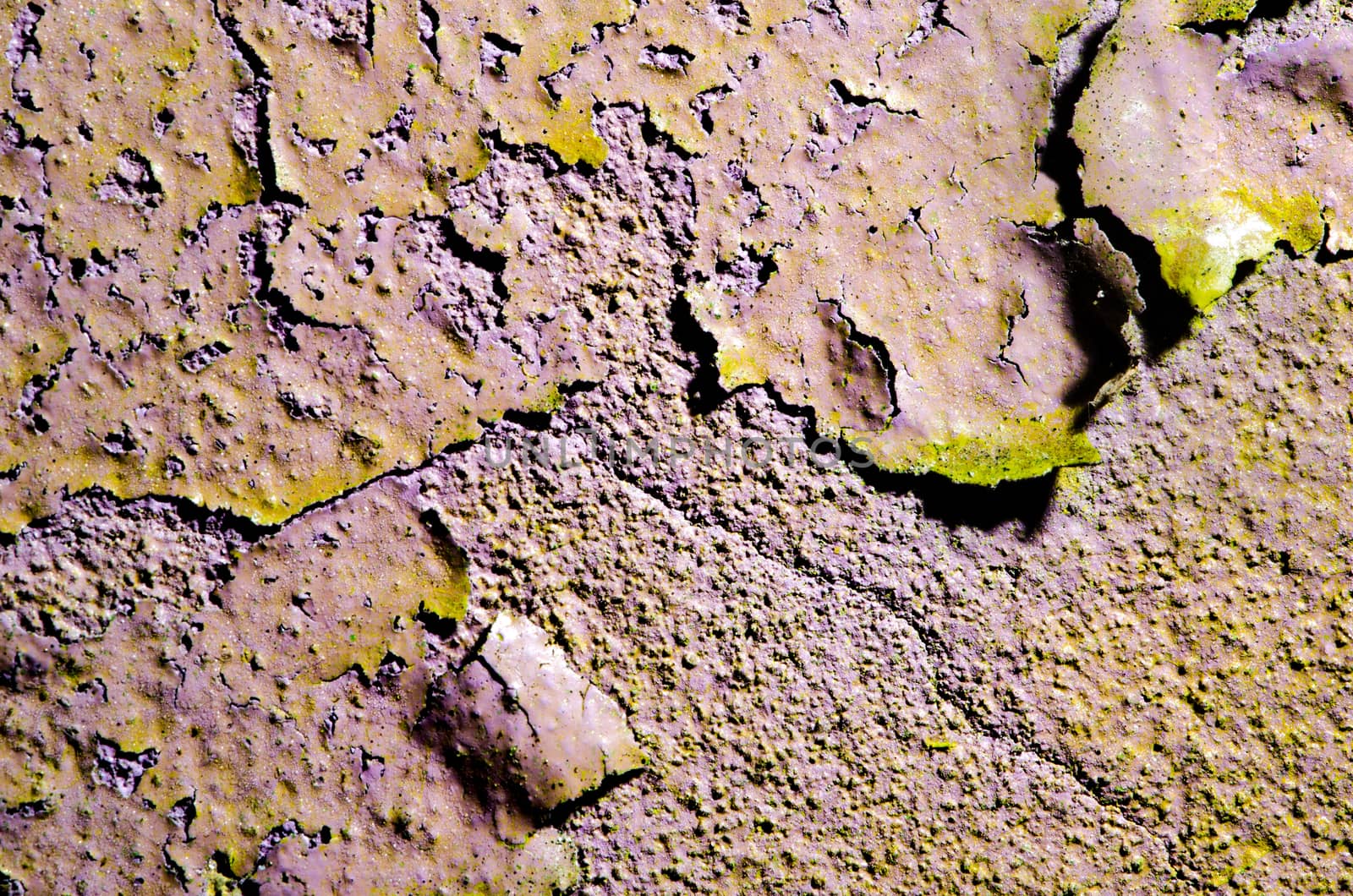 Old wall texture by richpav