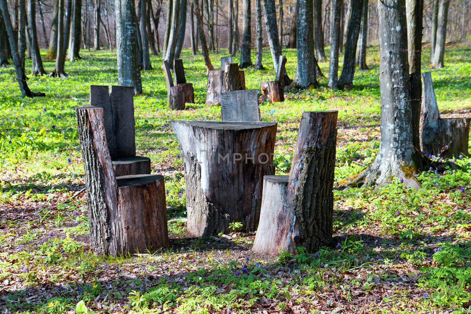 Table and chairs of wood trunk stumps. Rest place by Irina1977